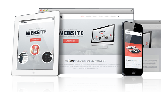 پوسته دی ان ان تیسون پوسته دی ان ان تیسون