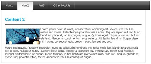 ماژول مگا منو دات نت نیوک ماژول مگا منو دات نت نیوک